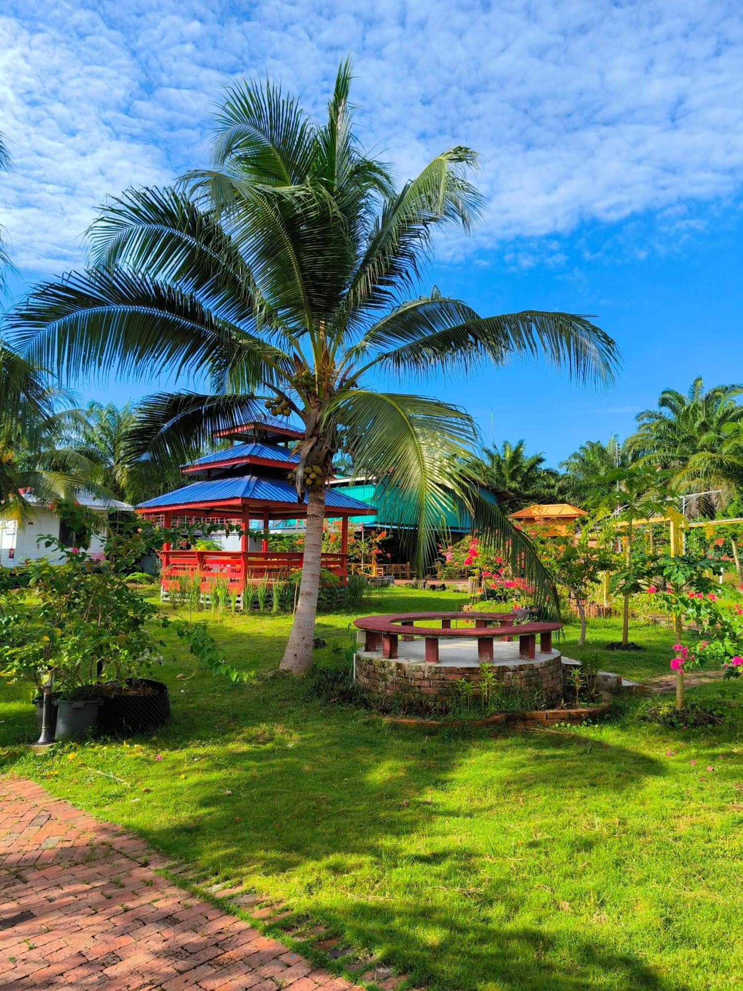 Shunde Palm Resort 仙本那顺德人家棕榈园 Esterno foto