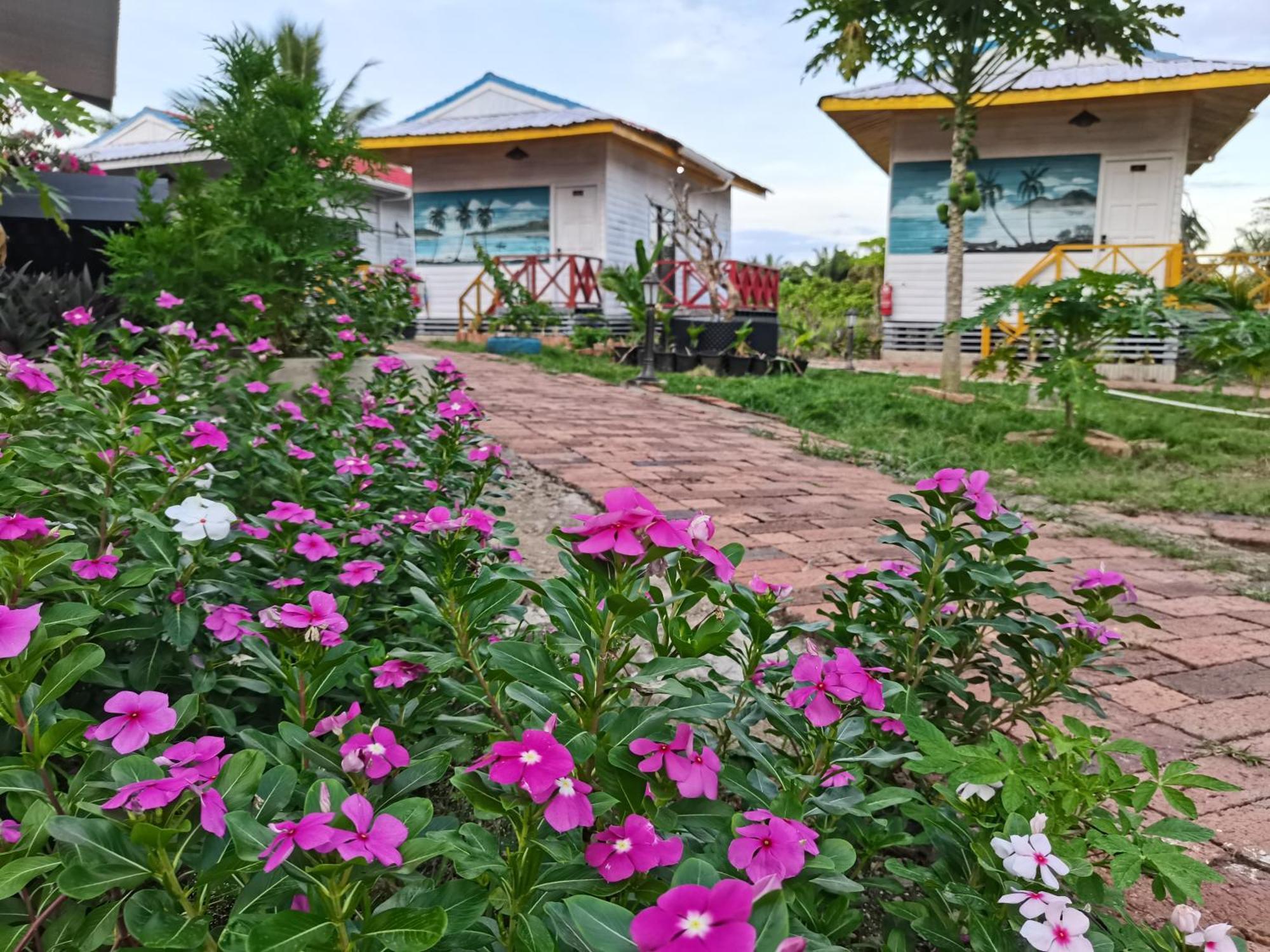 Shunde Palm Resort 仙本那顺德人家棕榈园 Esterno foto